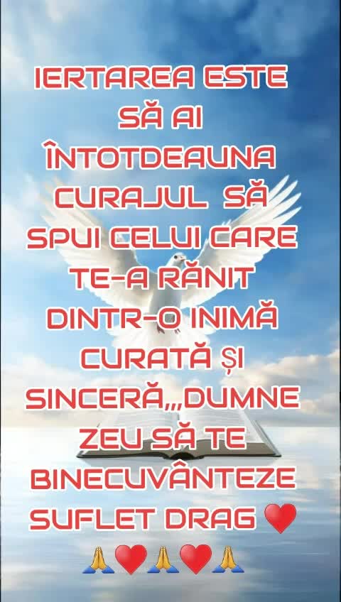@🔷️🔵ȘTEFAN 🔵🔷️