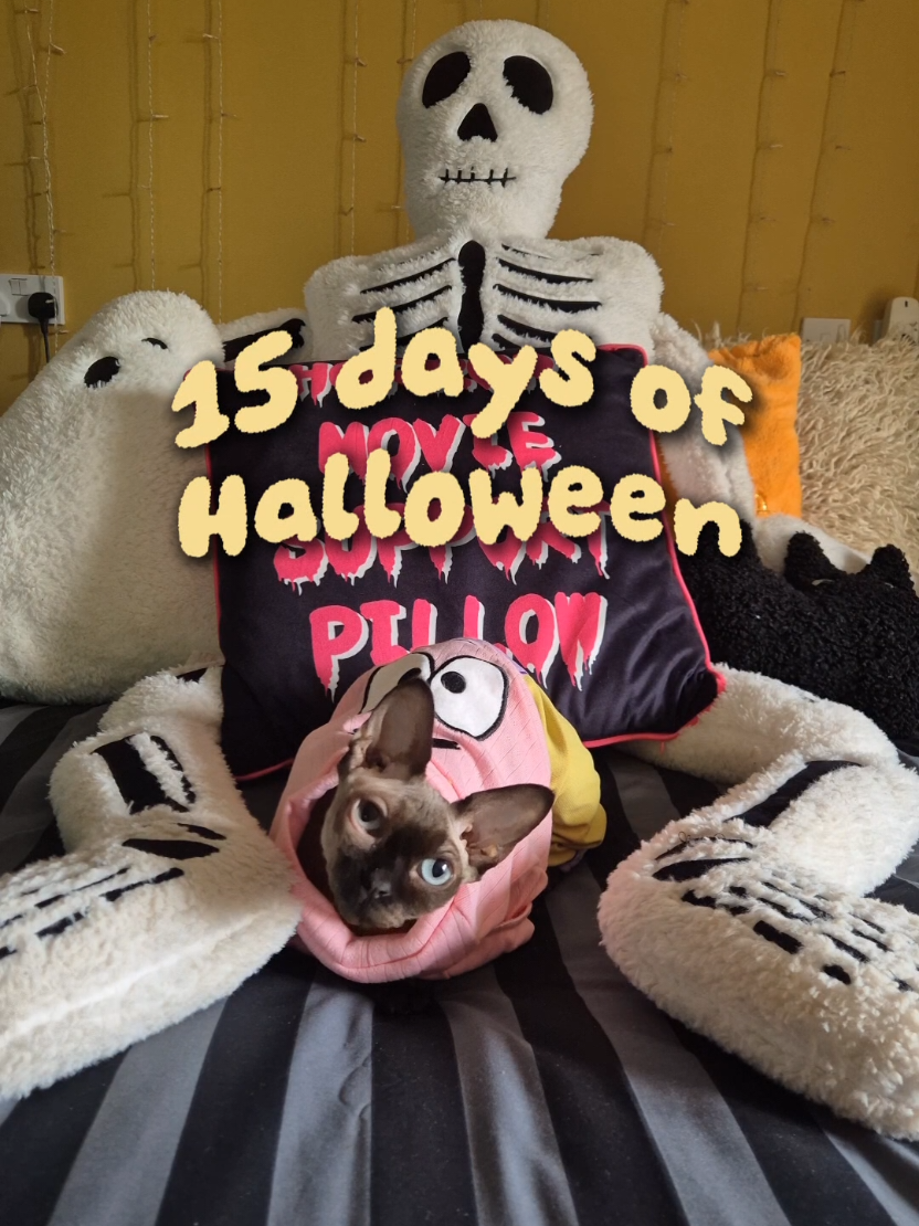 @cloe 🍋🍿🎃