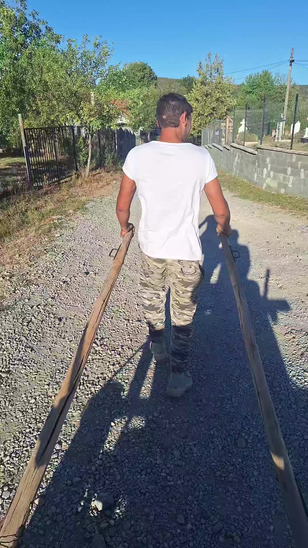 @Muntean Mircea Cristian