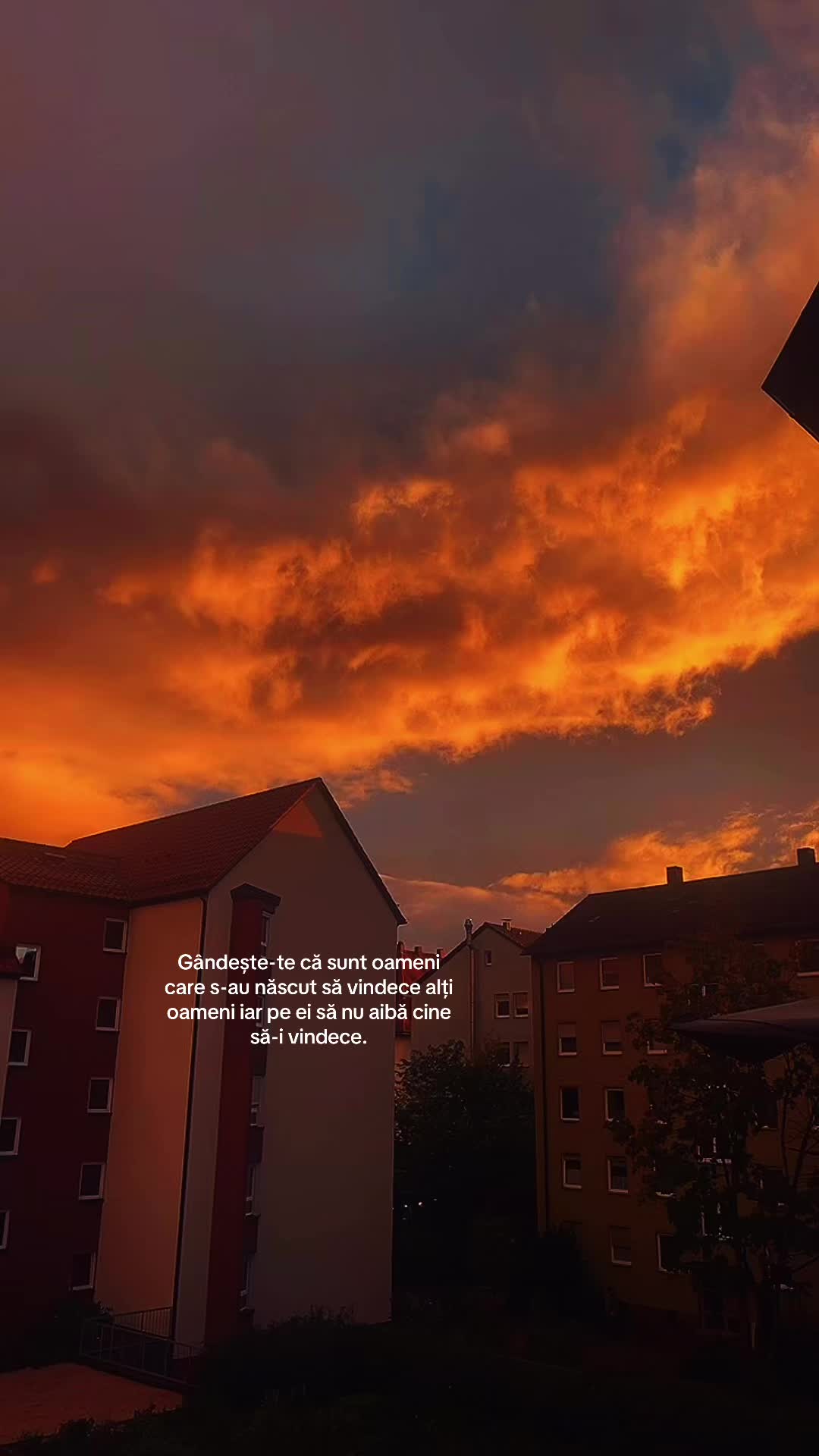 @🧸UltimulZâmbet🫠