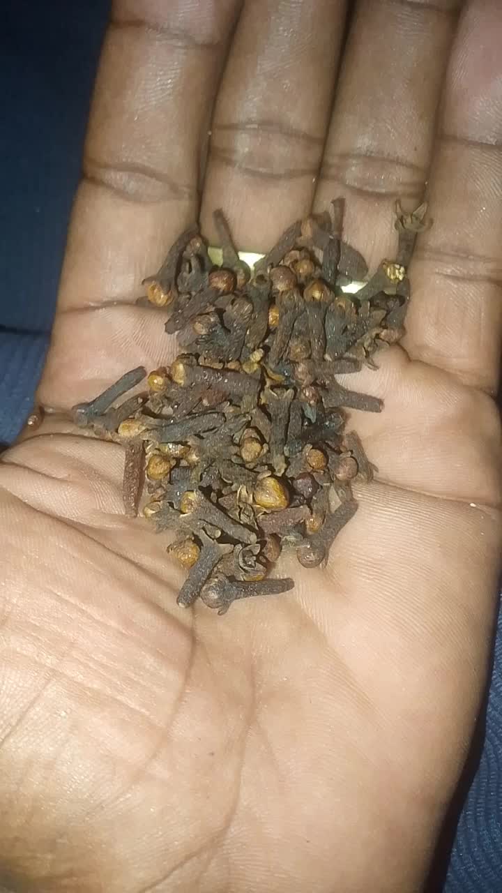 @Dr JUDI Bio🌡️☘️