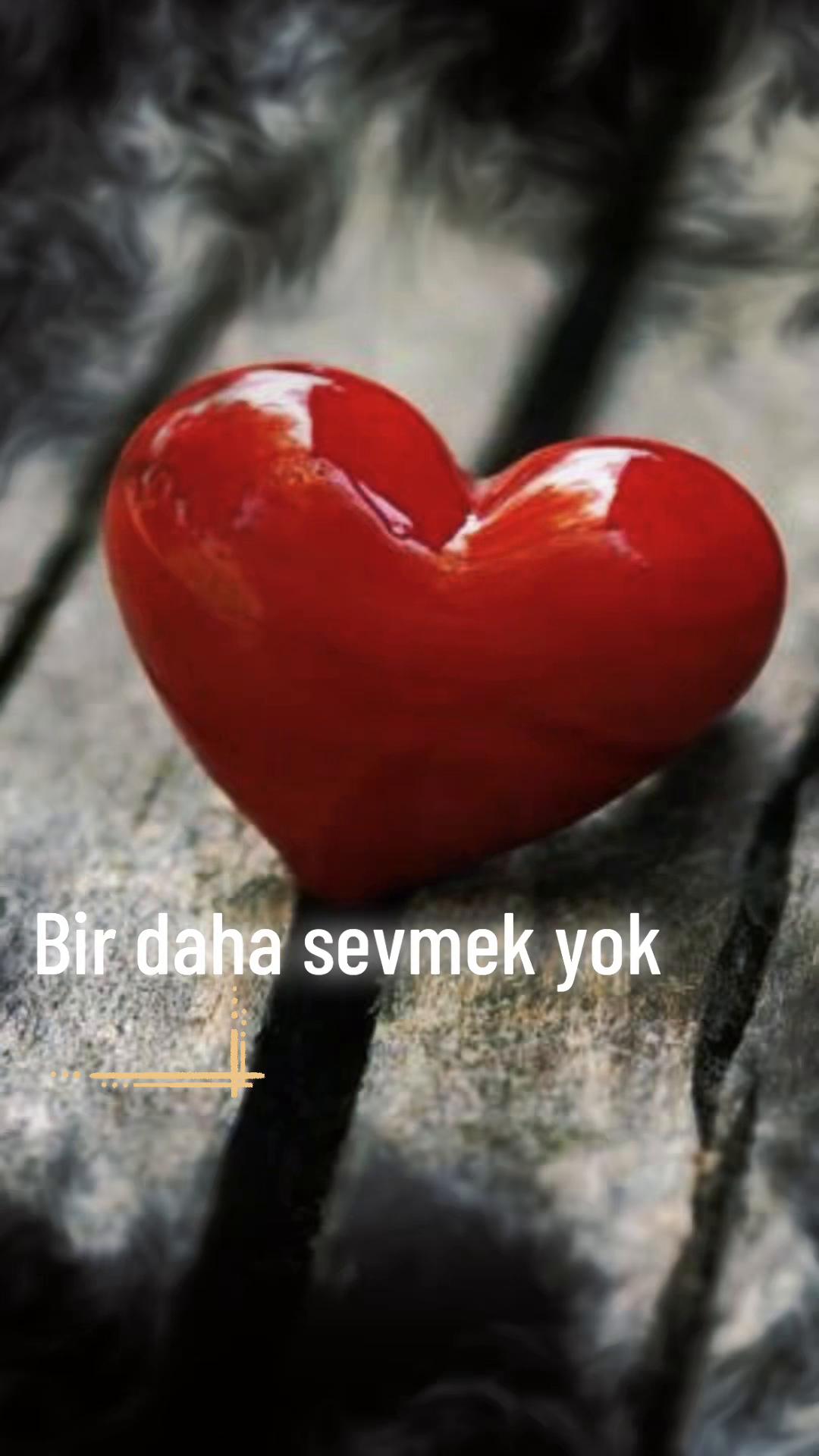 @mavili781