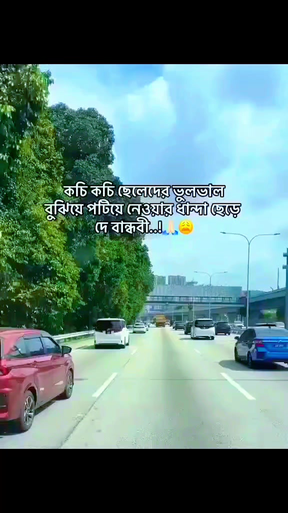 @Md Mostakim khan