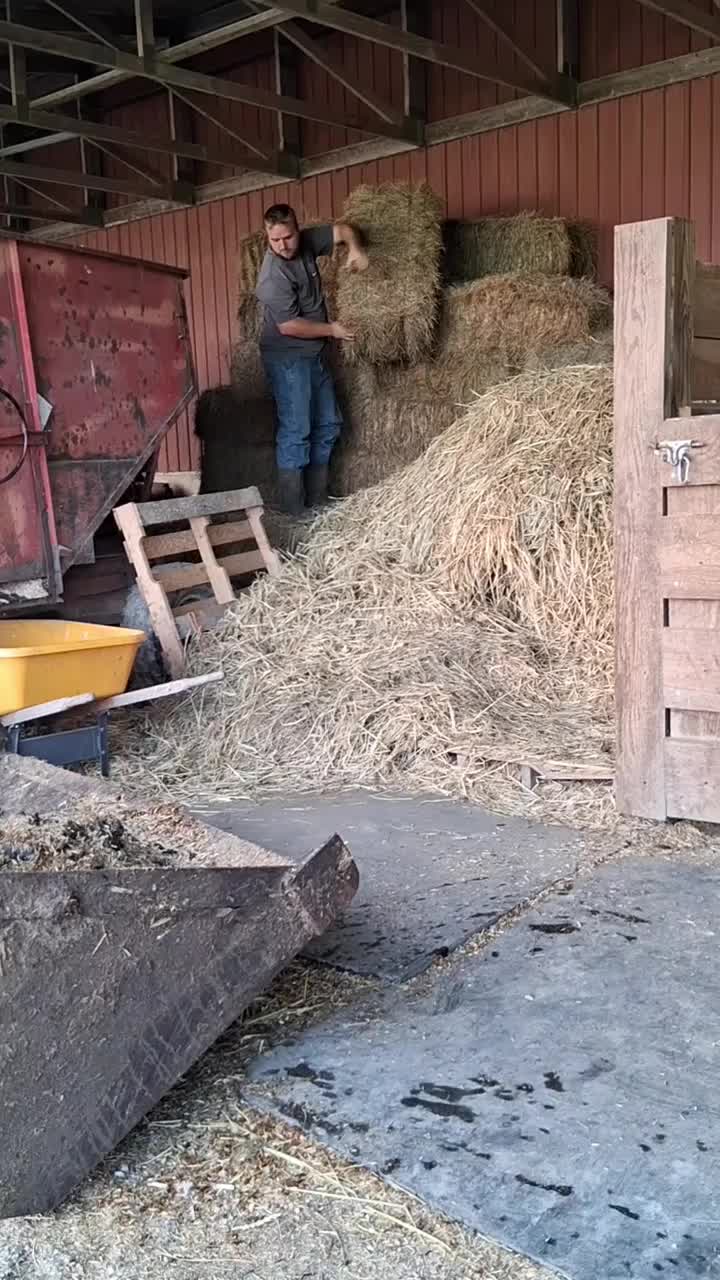 @Taylor | Sah{farm}m