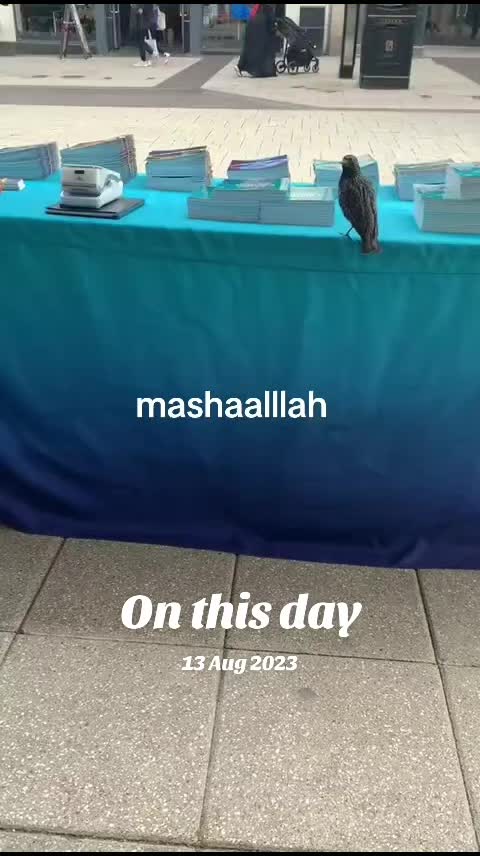 @mahkun