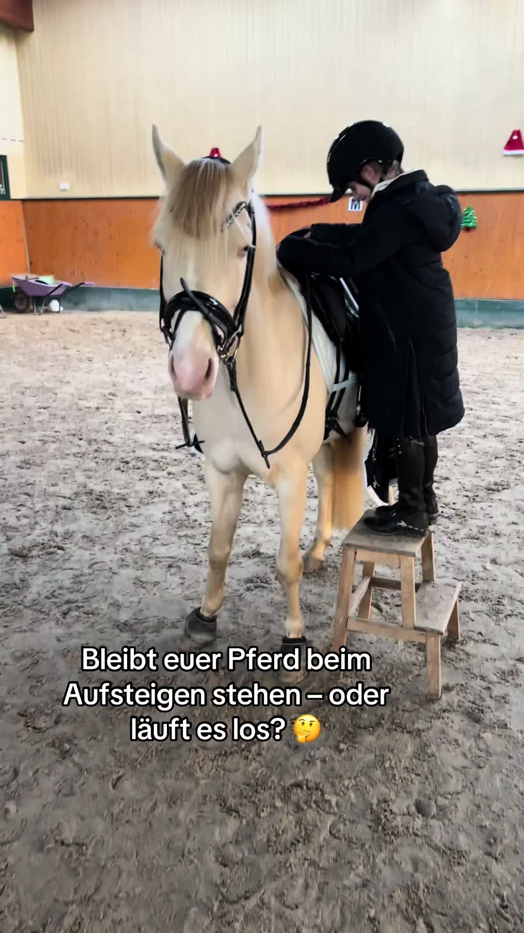 @Shanea & ihre Ponys &hearts;️🐴