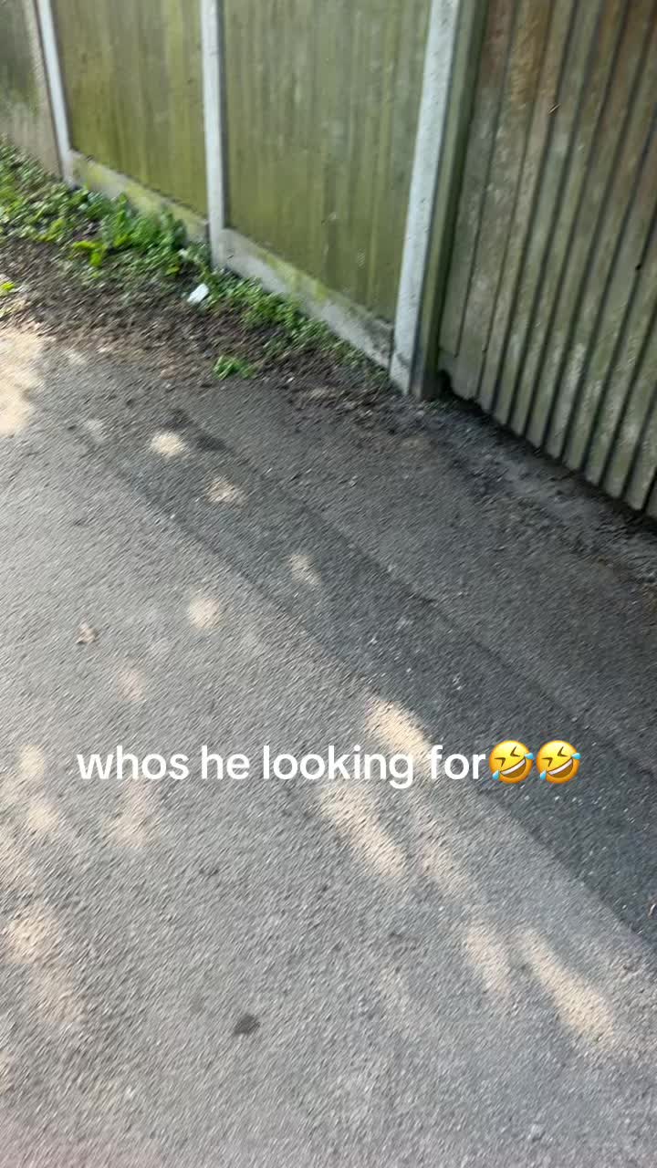 @S.