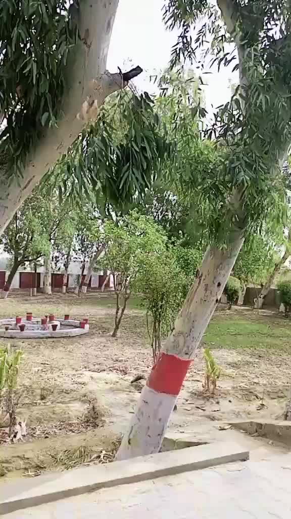 @Hina Khan