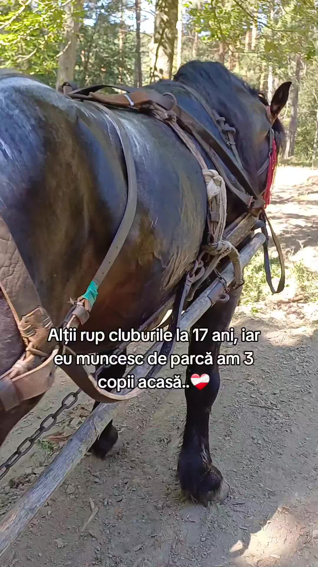 @Stelian