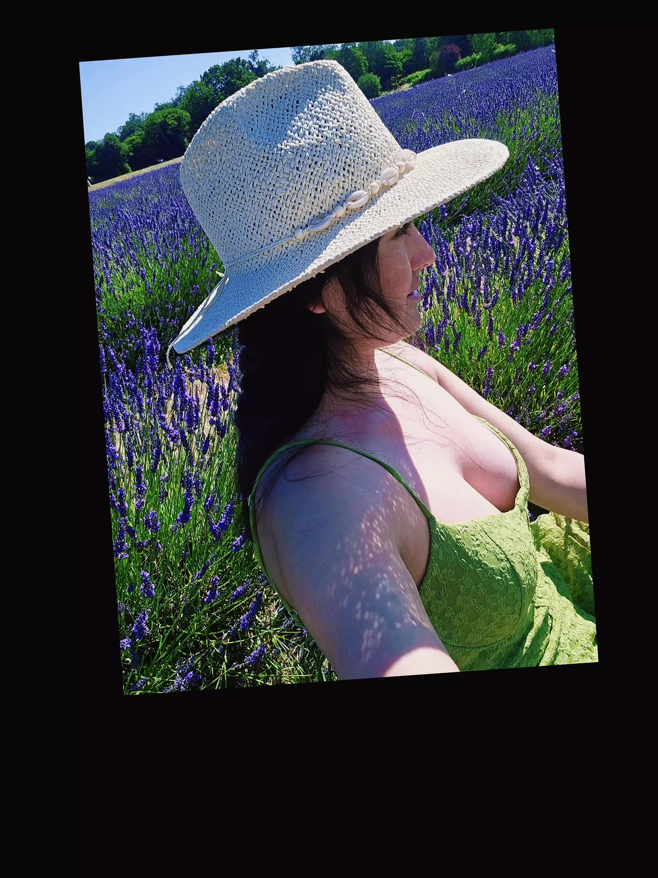 @🐞Ali. &Aacute; 🌻🌻🌻🌻🌻