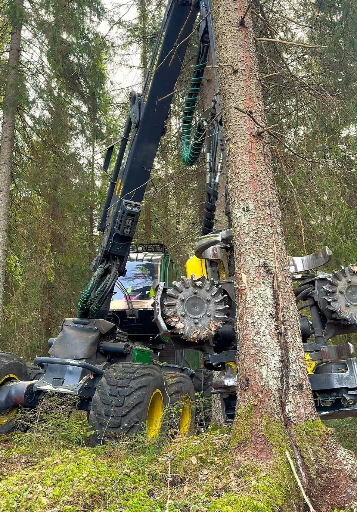 @Metsätalous