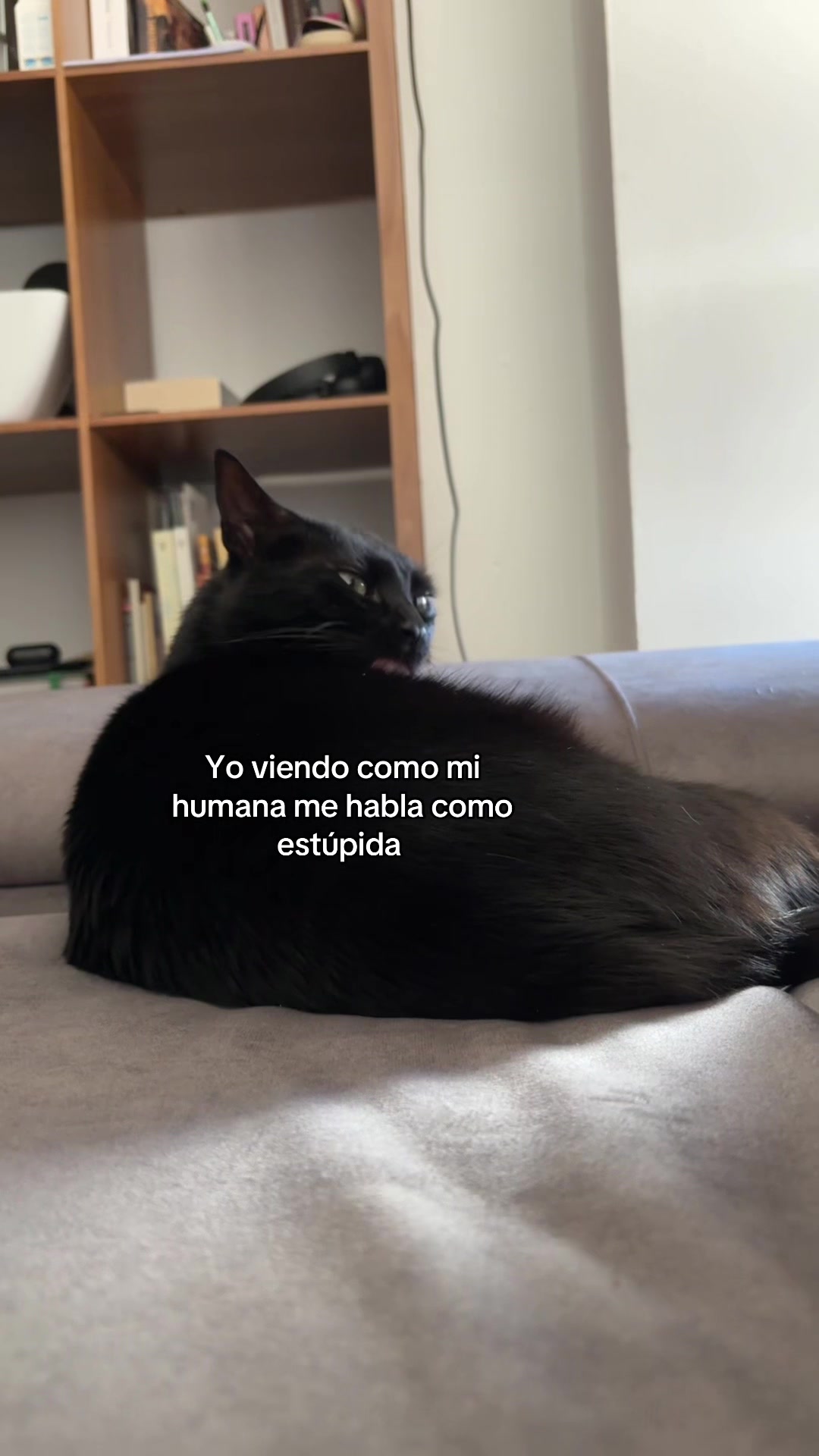 @BlackCatsMatter