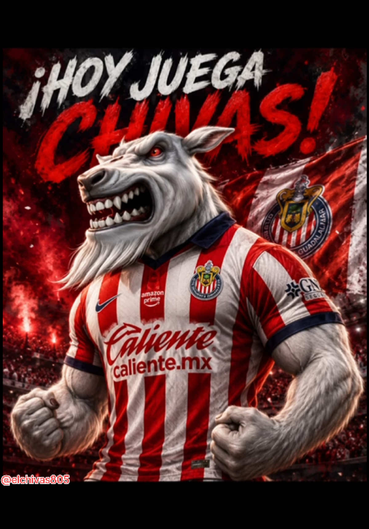 @elchivas805