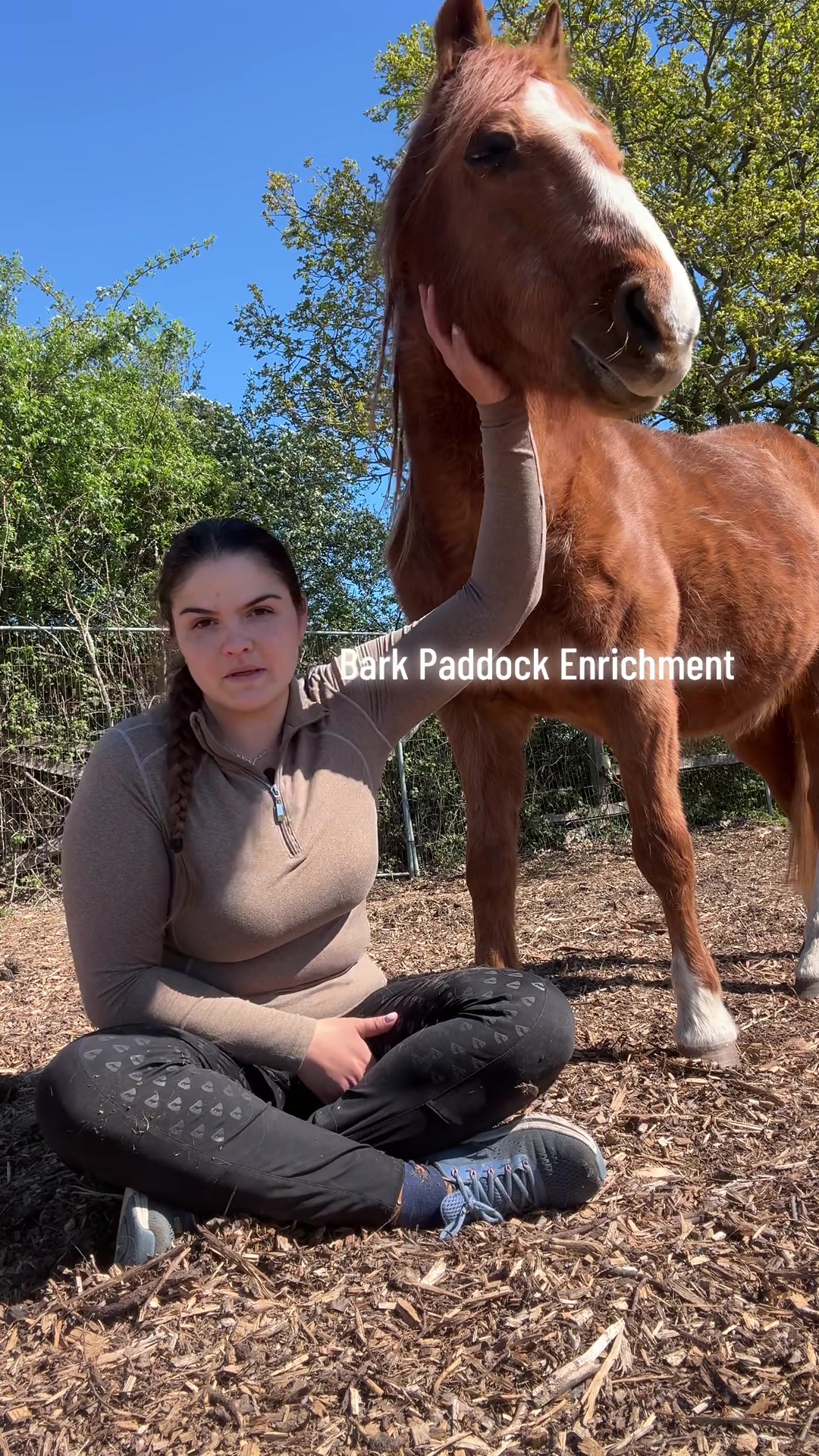 @Charlotte.Equestrian