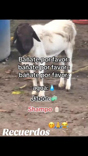 @@franyer_oficial