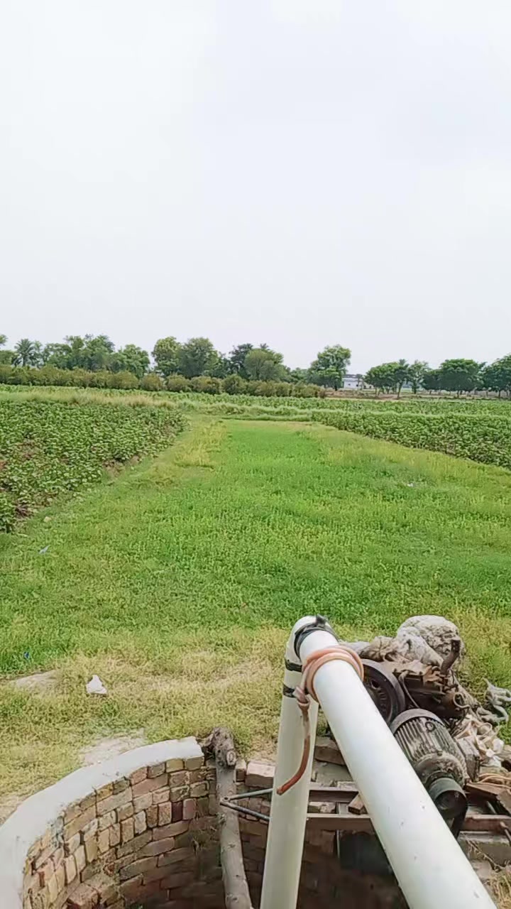 @امتیاز اظہر کلاچی