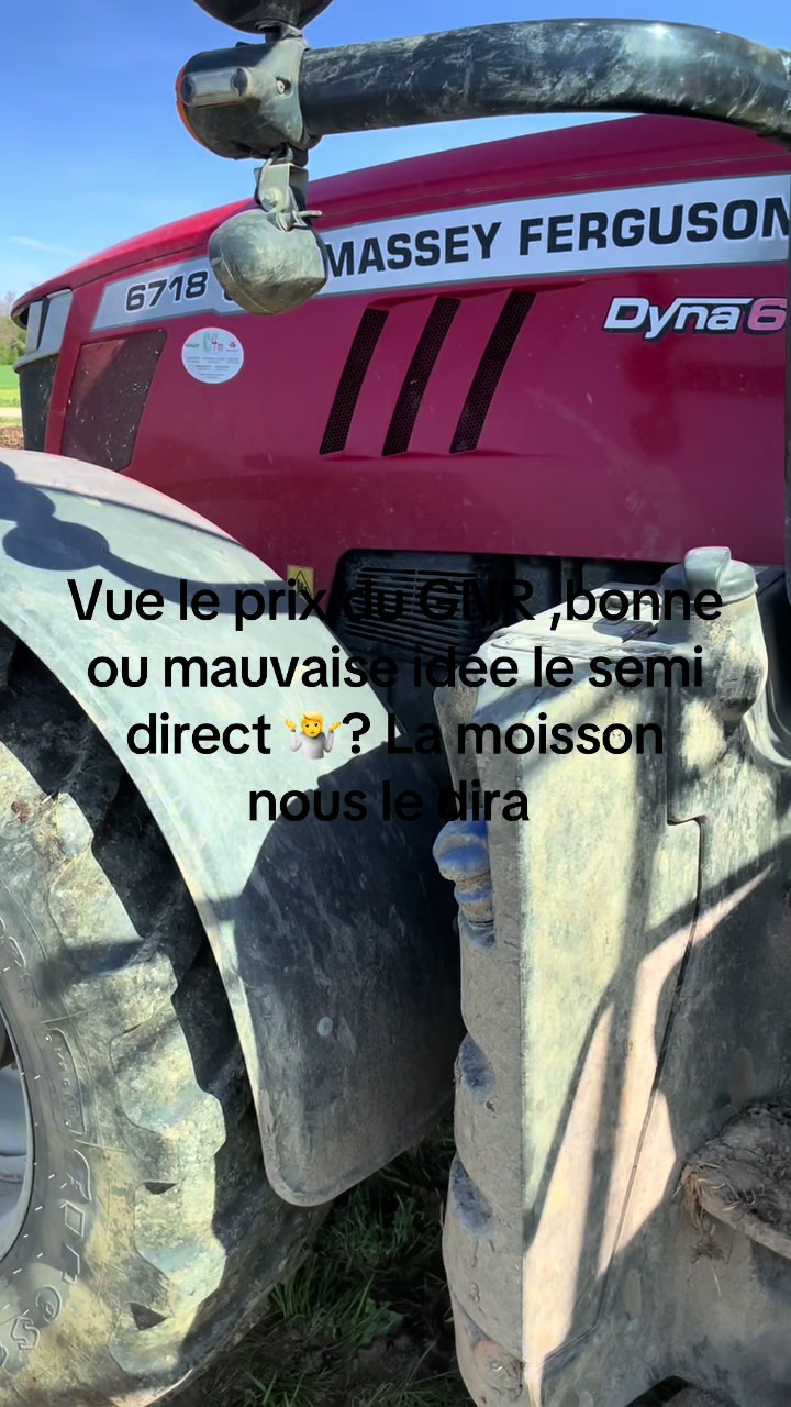 @David