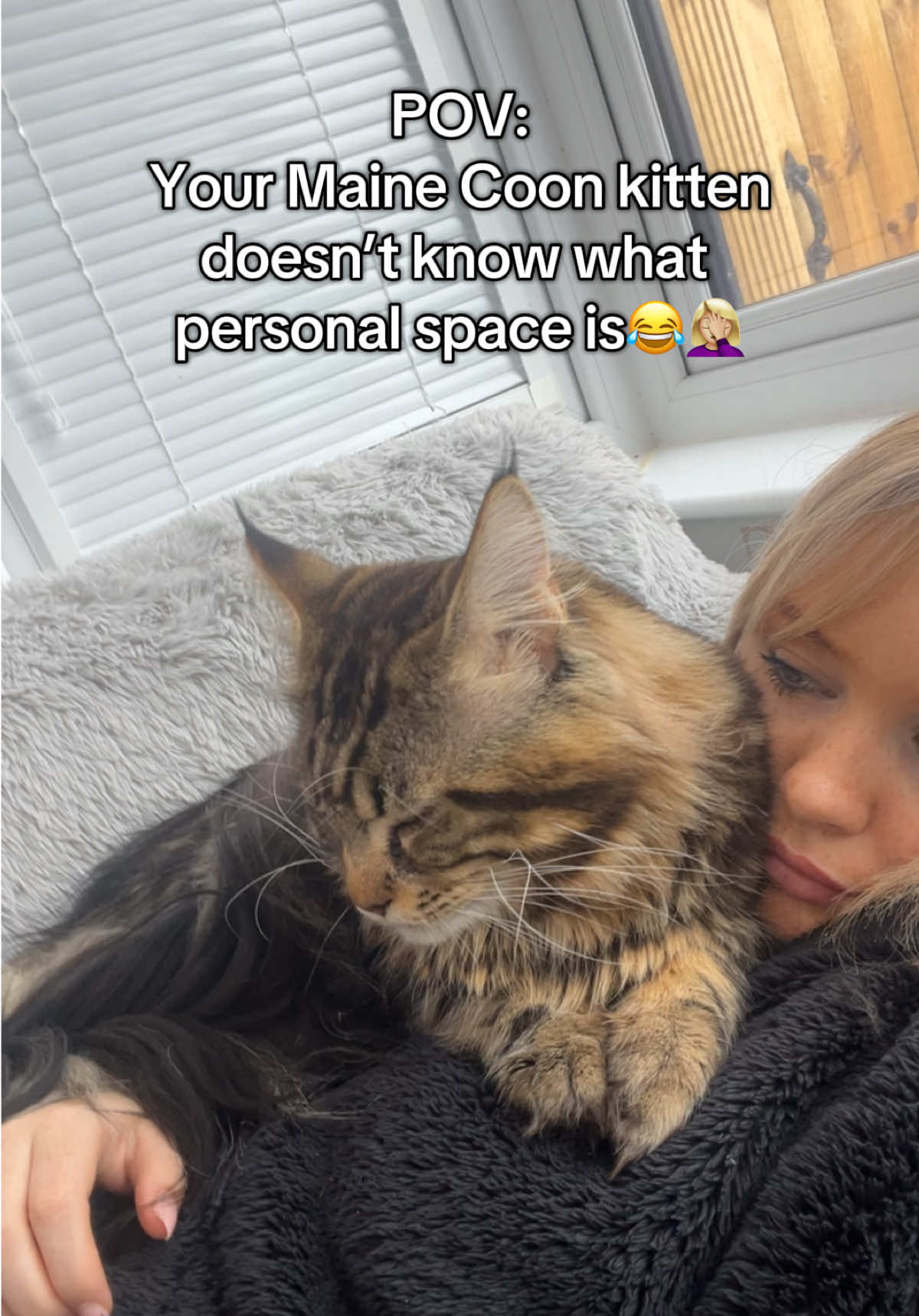 @Simba&Scar