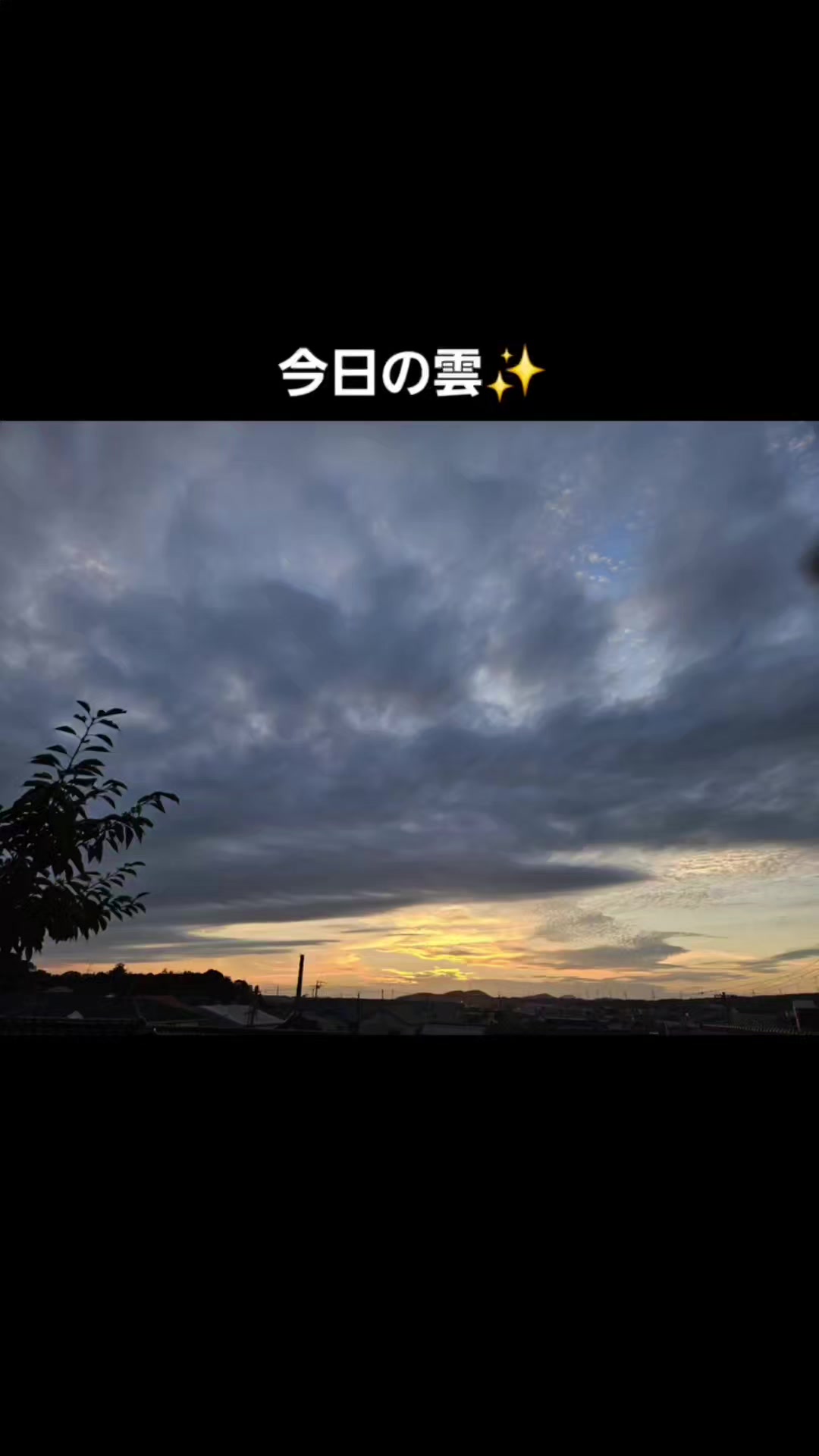 @龍神Artist無限龍