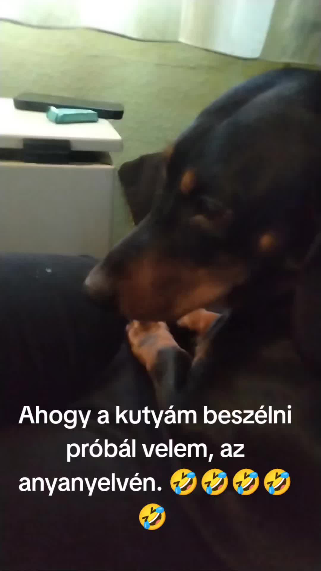 @NEO