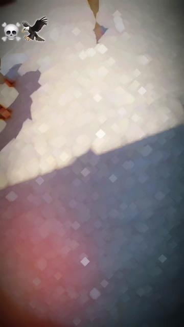 @Feroz333_official