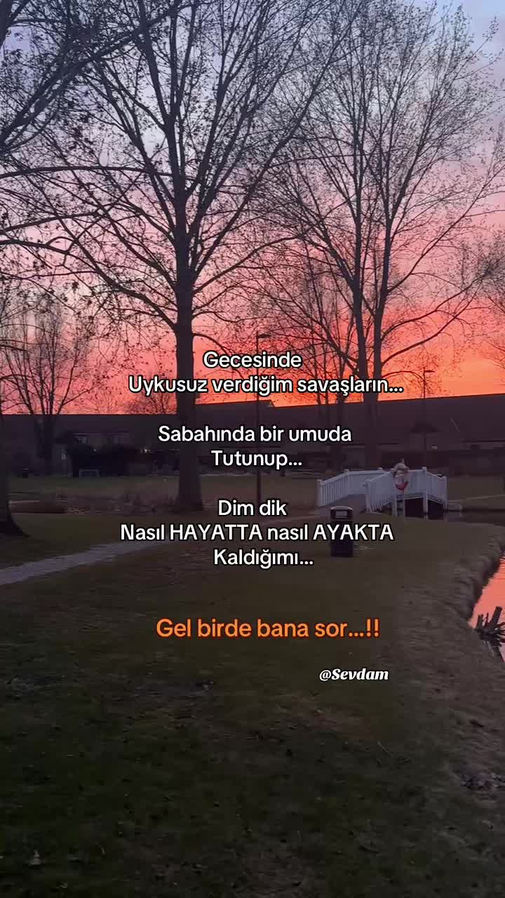 @Sevdam