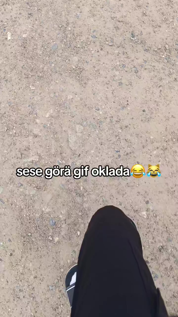 @acc satlyk