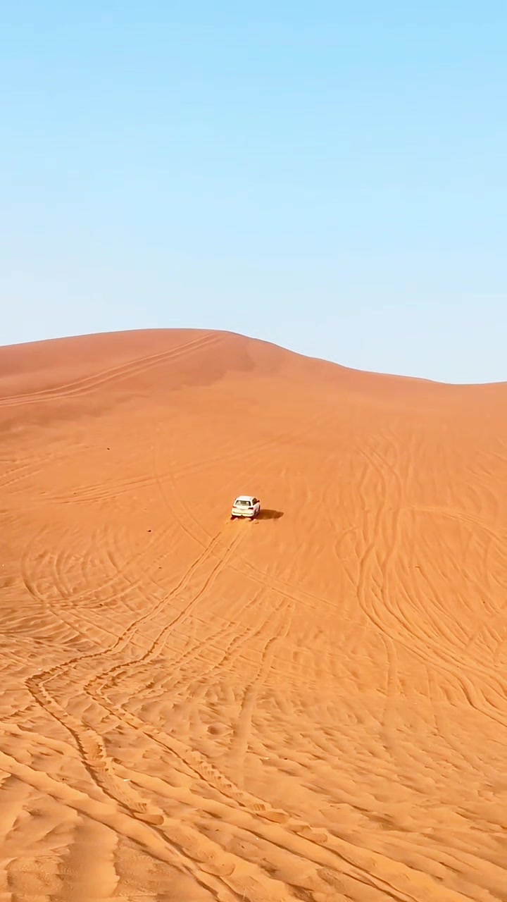 @Desert Safari King 🧿