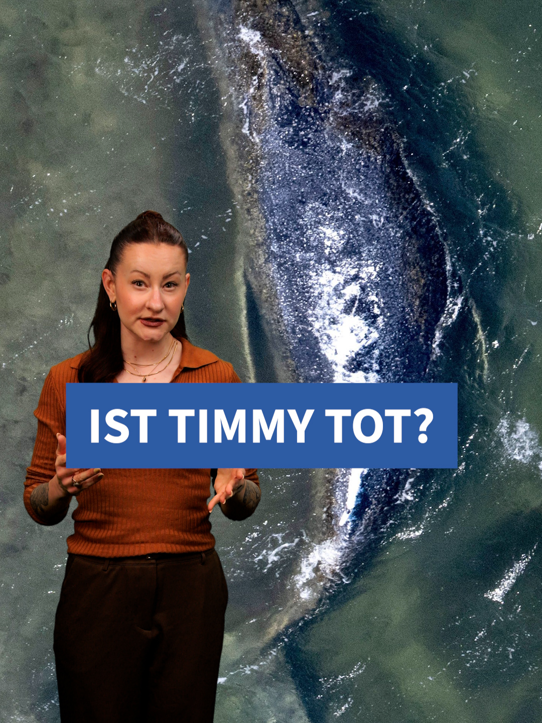 @Frankfurter Allgemeine