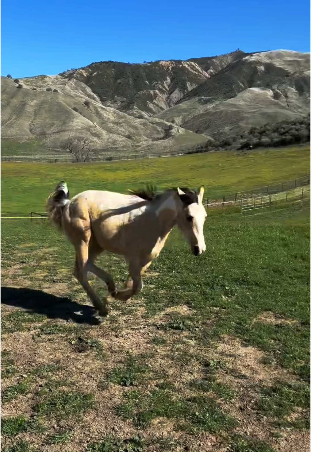 @Bar SZ Ranch