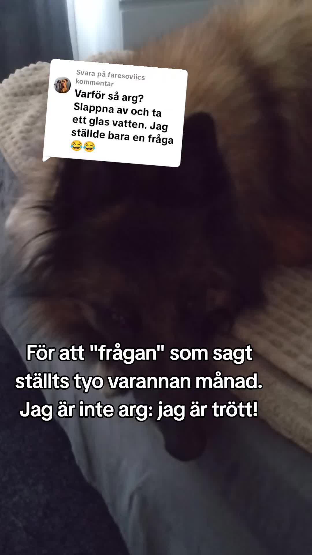 @Fenix-Tervueren AssistanceDog