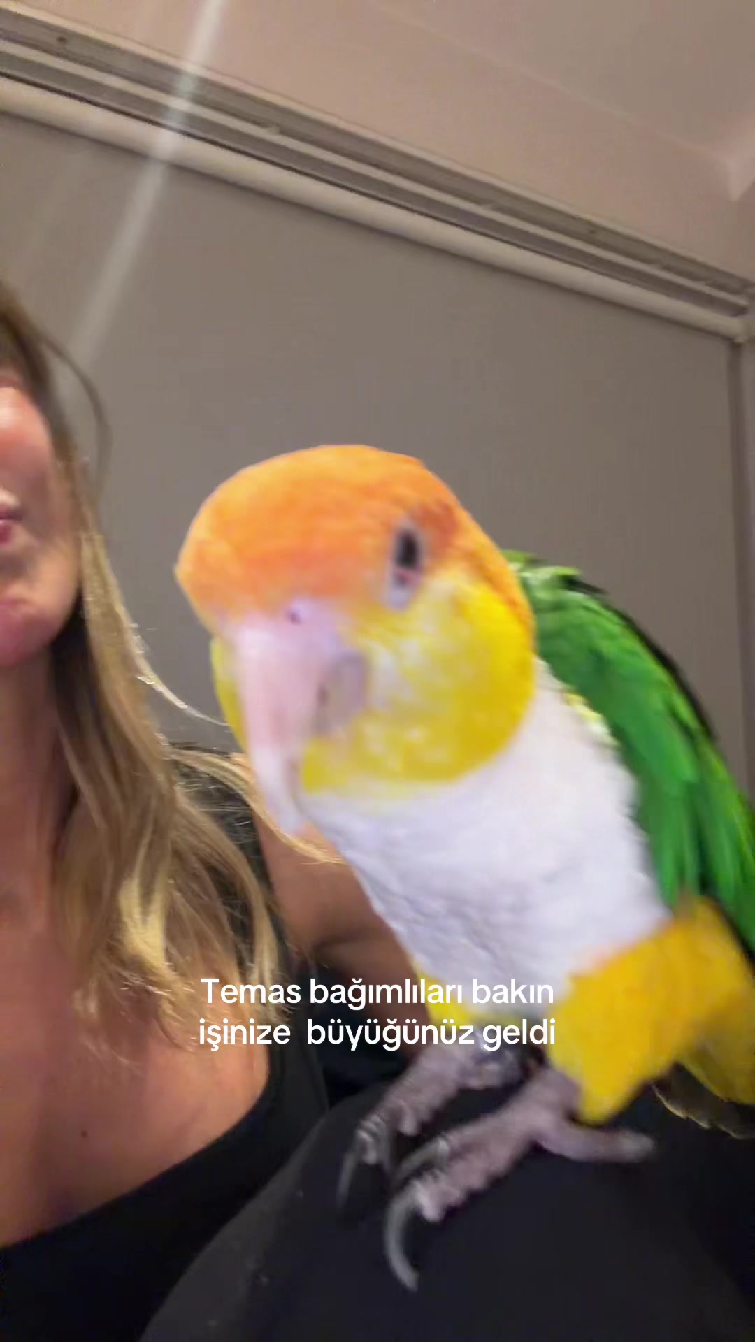 @Ecenaz &Uuml;&ccedil;er