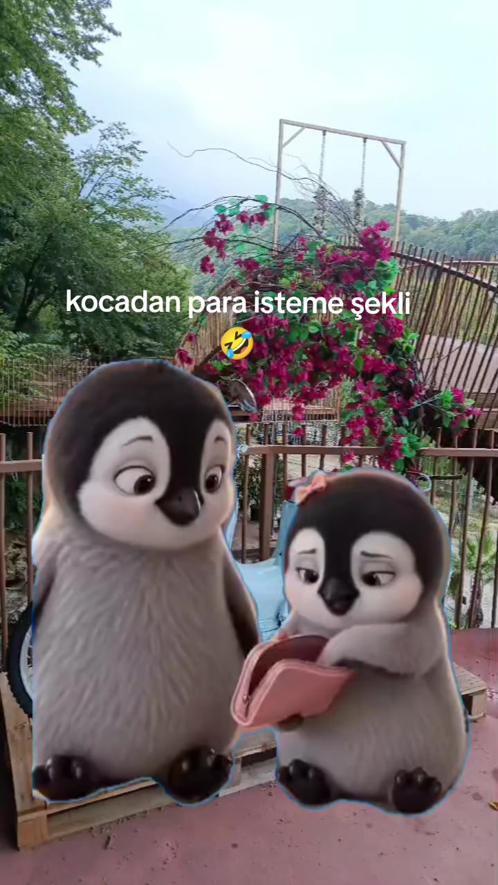 @🌟🐦🔥🇭 🇦 🇾 🇦 🇱 🐦🔥🌟