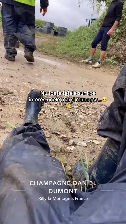 @elenaflorina20🩵