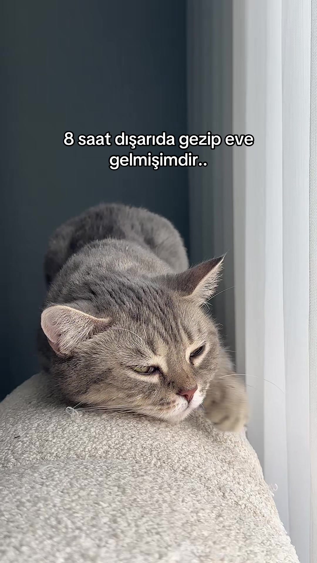 @Şevval