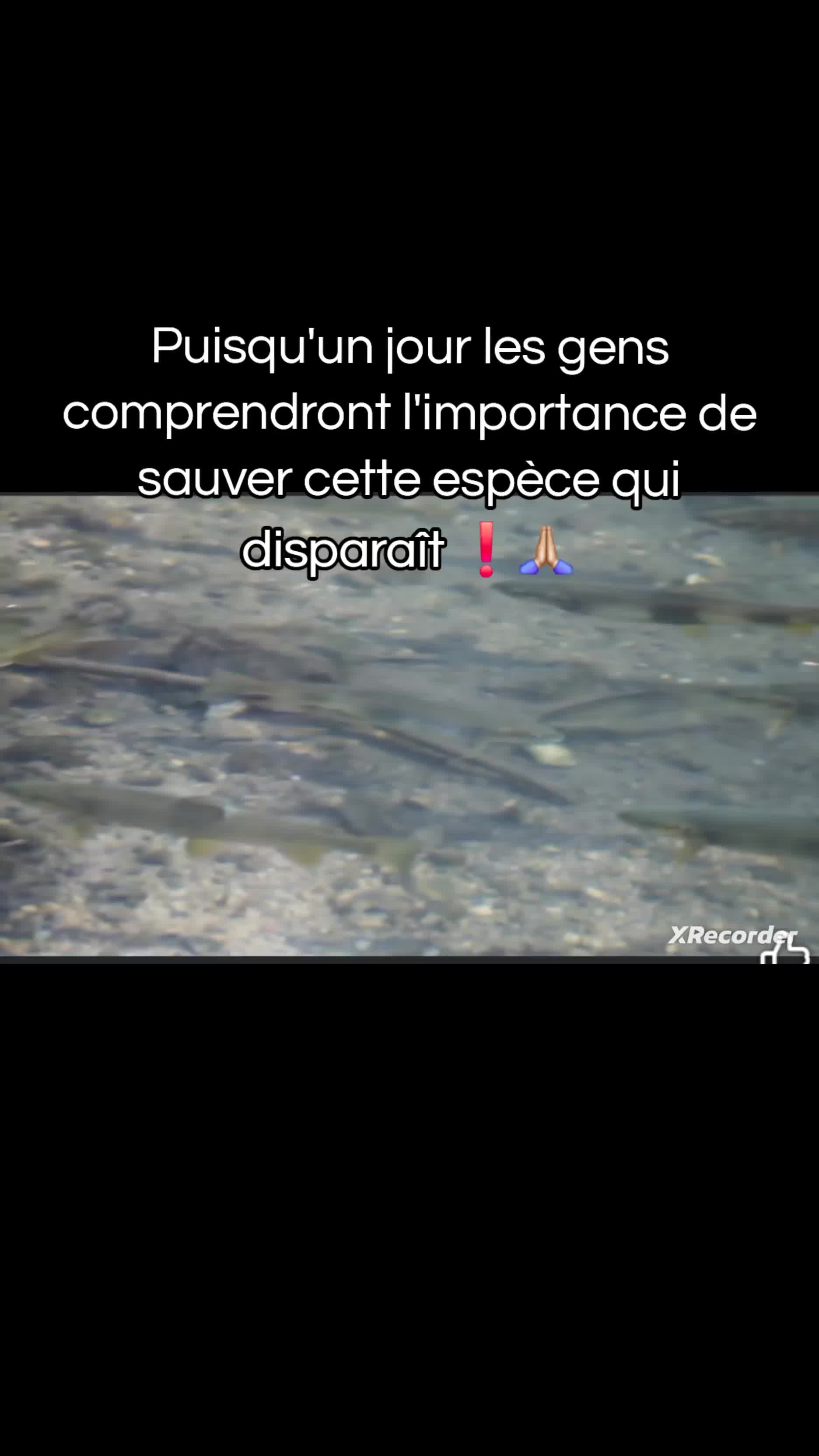 @rivi&egrave;res comtoises &agrave; l'agonie