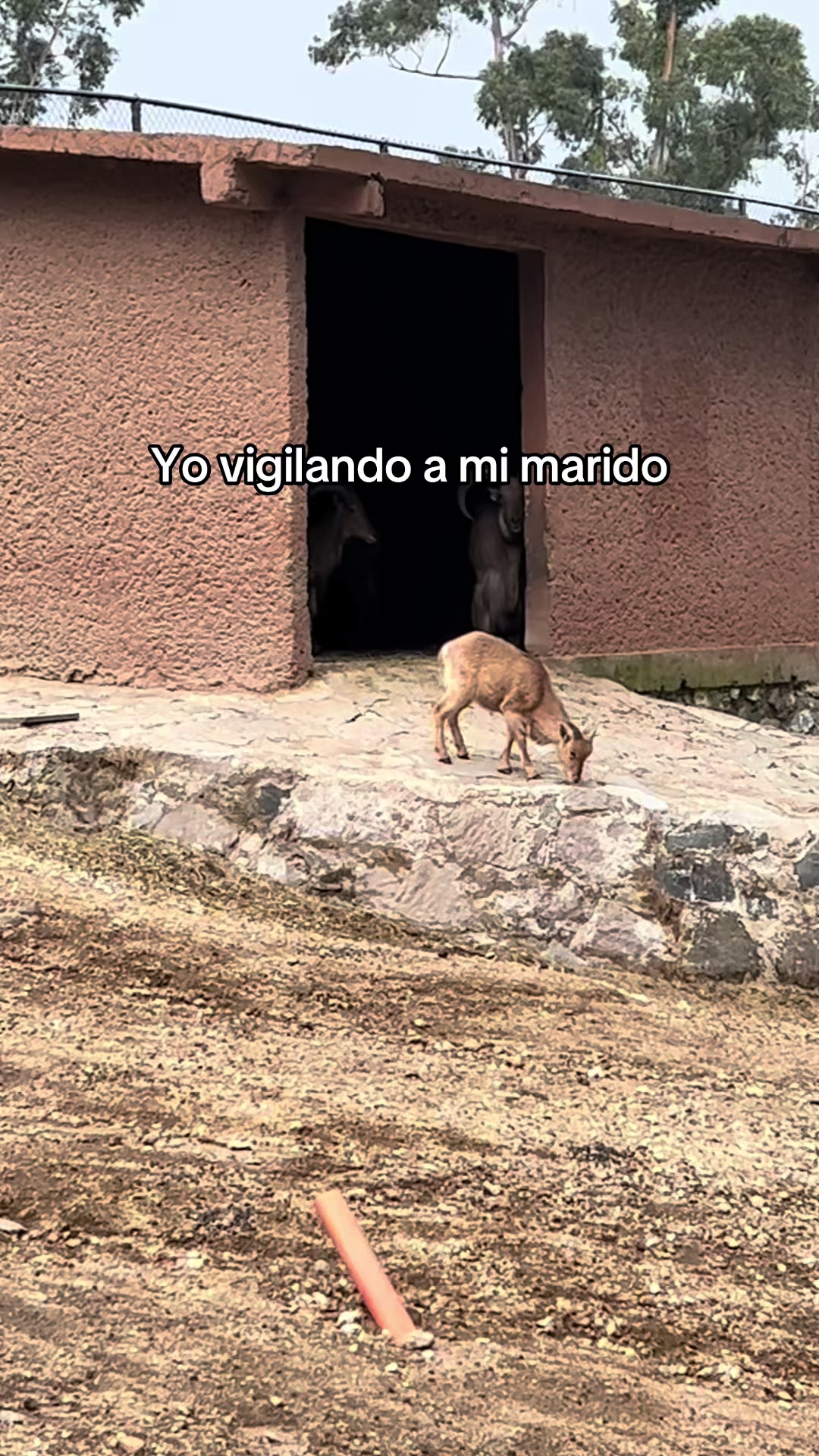 @Gabriela💗⚡️