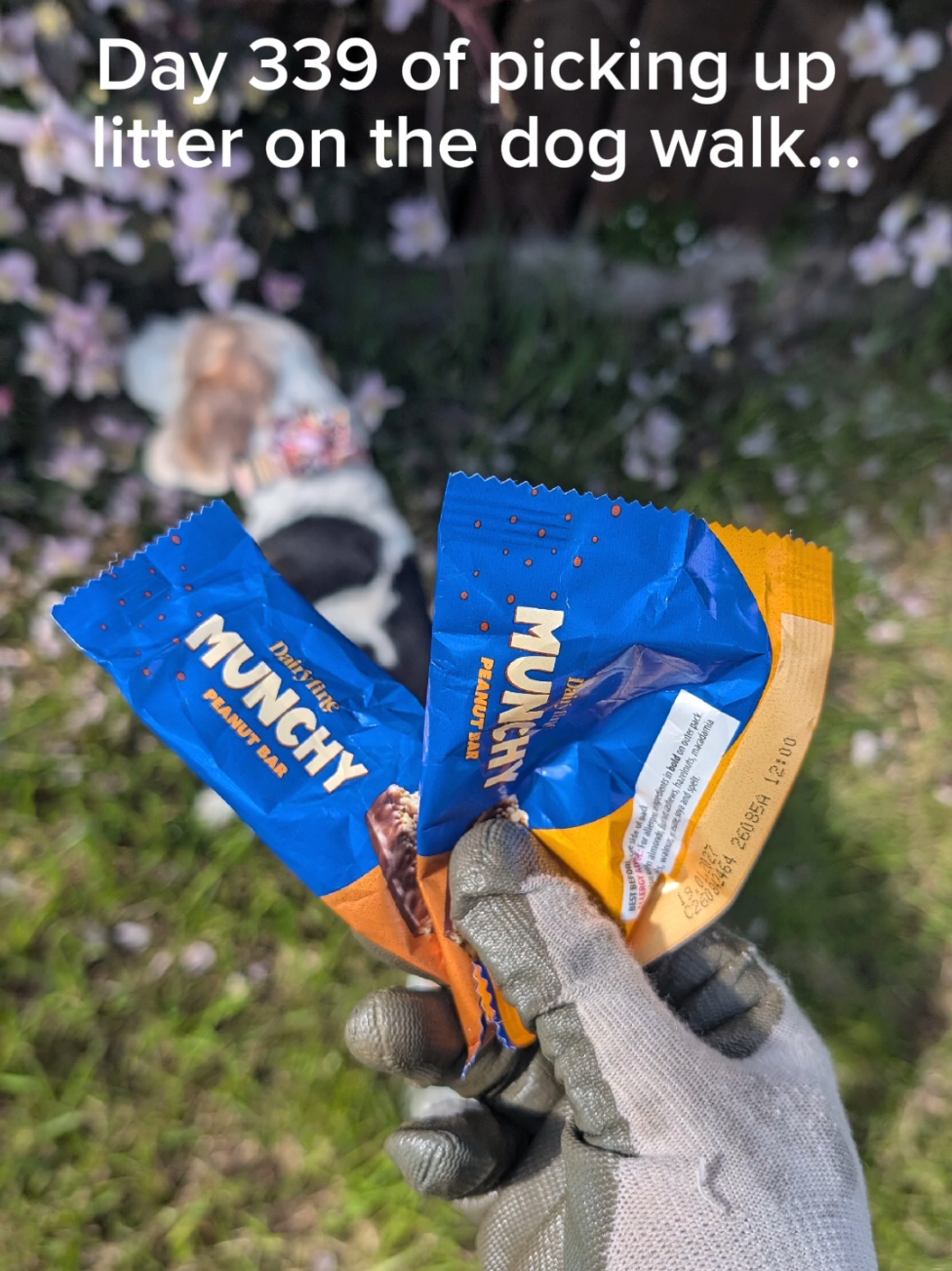 @LitterWalkiesWithRu
