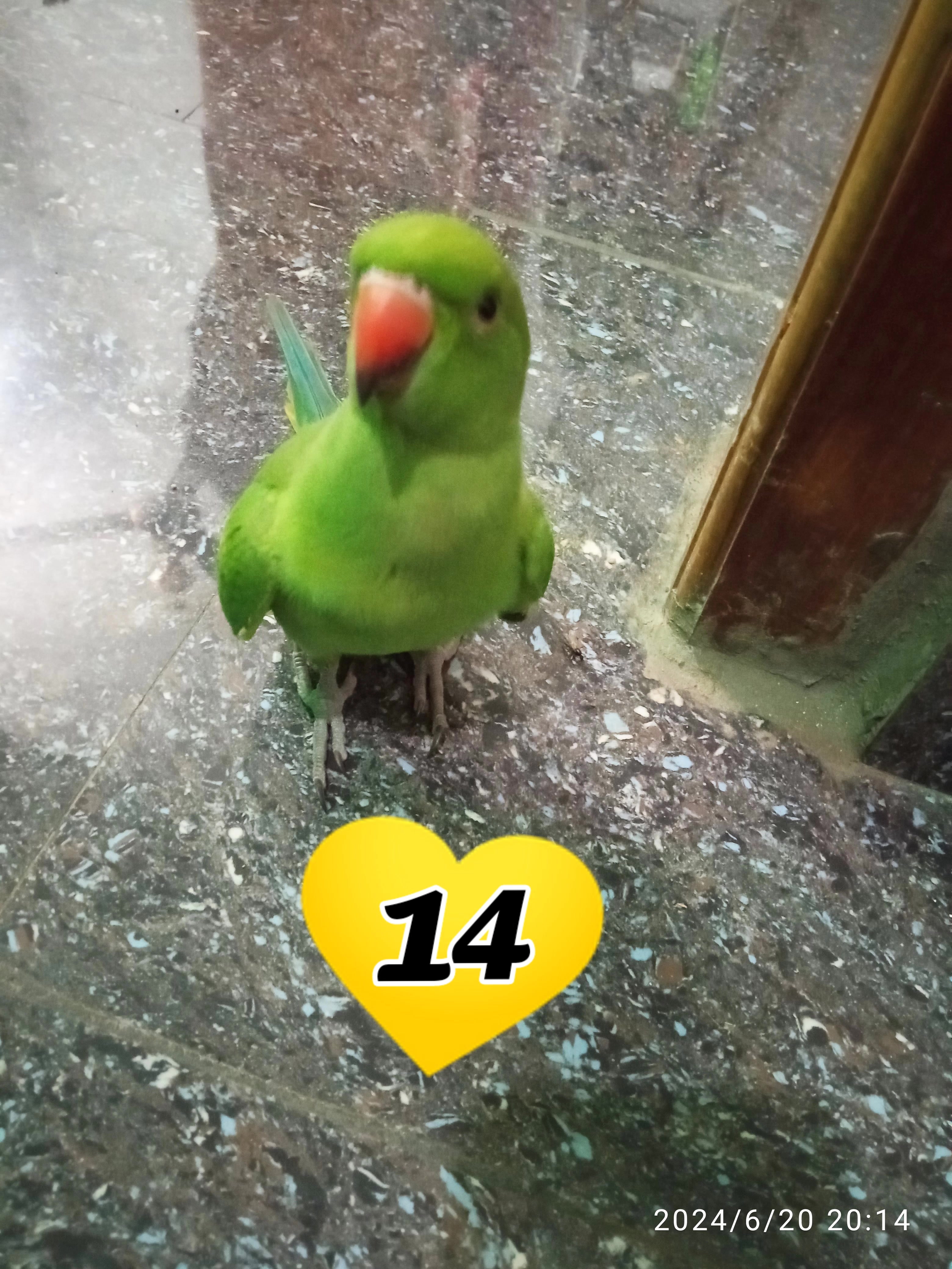 @🦁❤️💛காலபைரவன்14❤️💛🦁