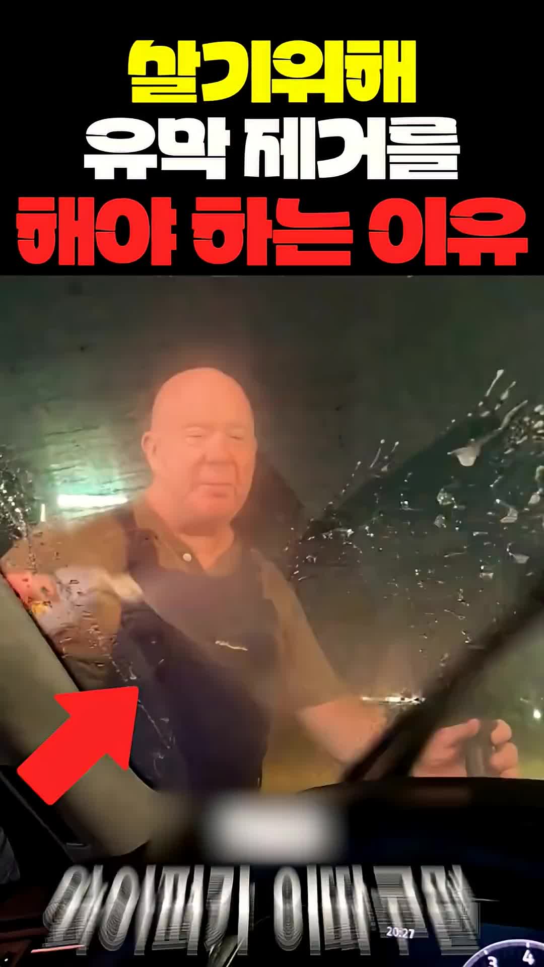 @짱아까미
