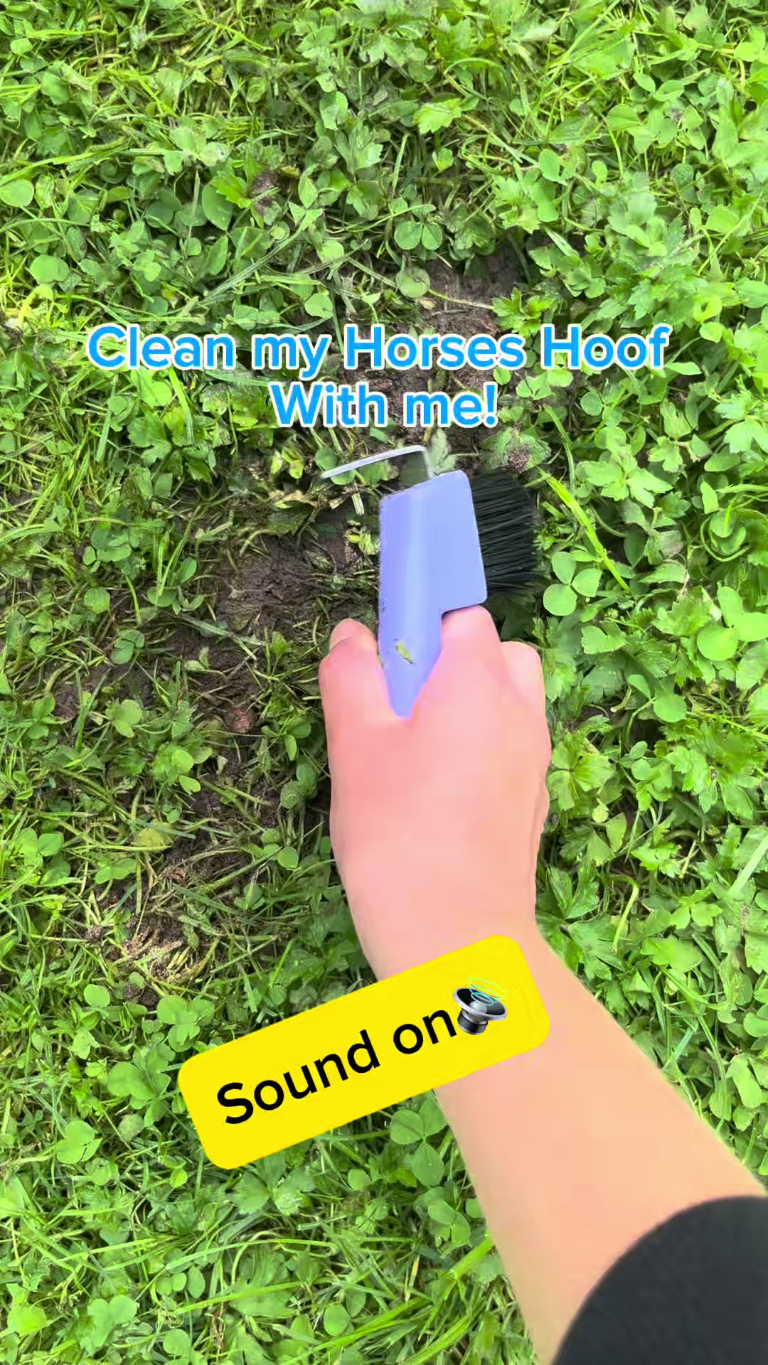 @kht_horselife