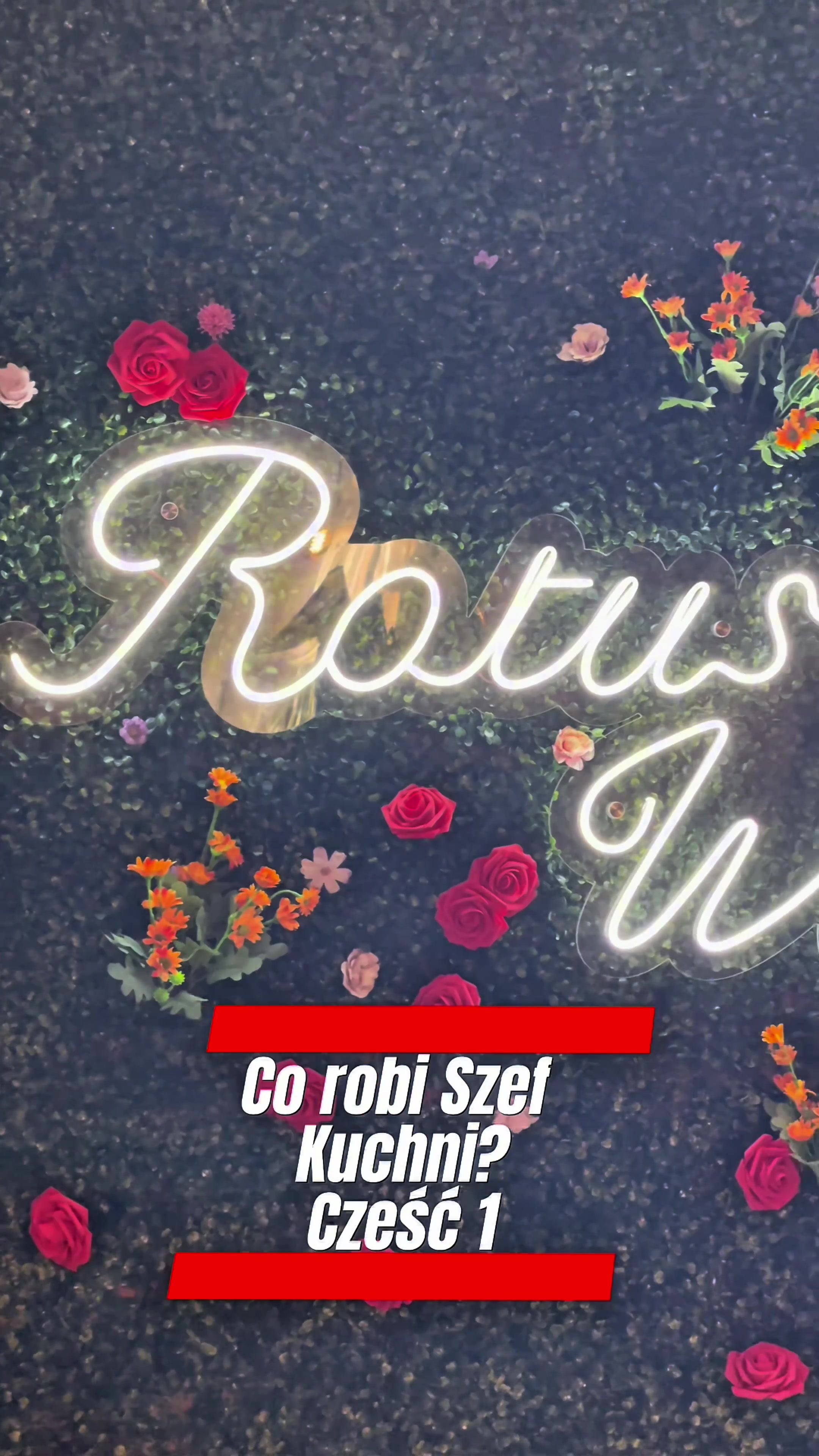 @Ratuszowa_wolow