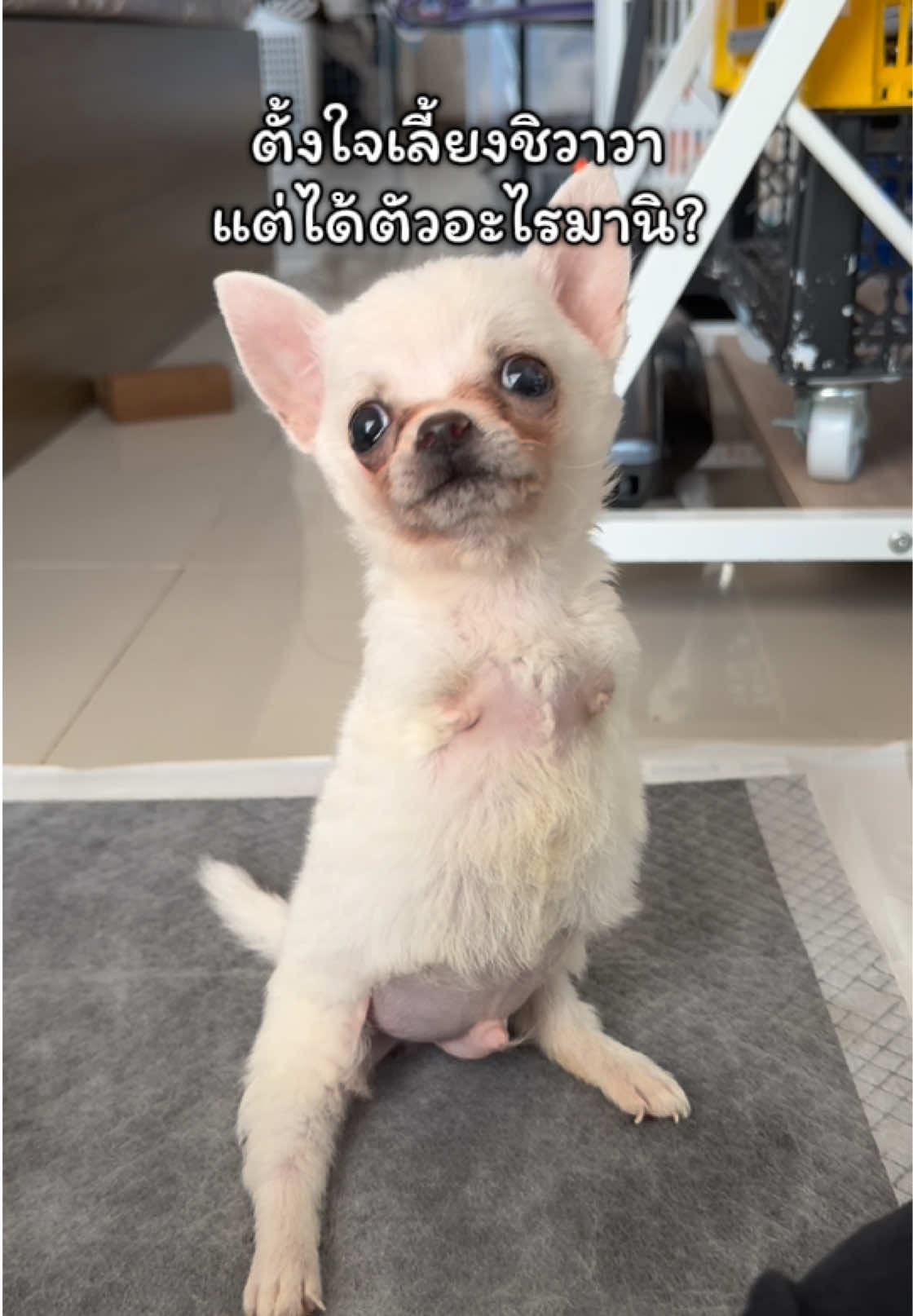 @ผมชื่อเฟิร์บ