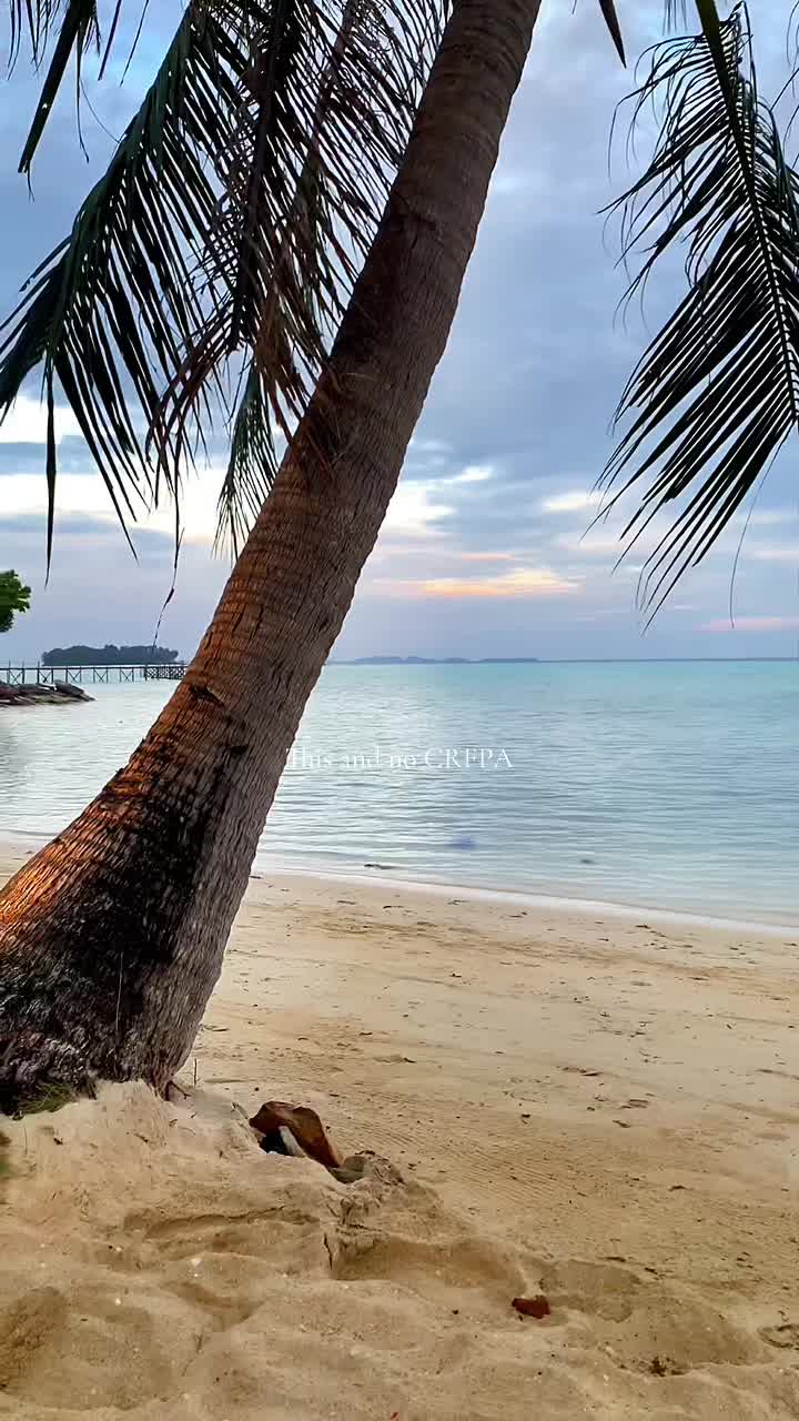@laraleuse