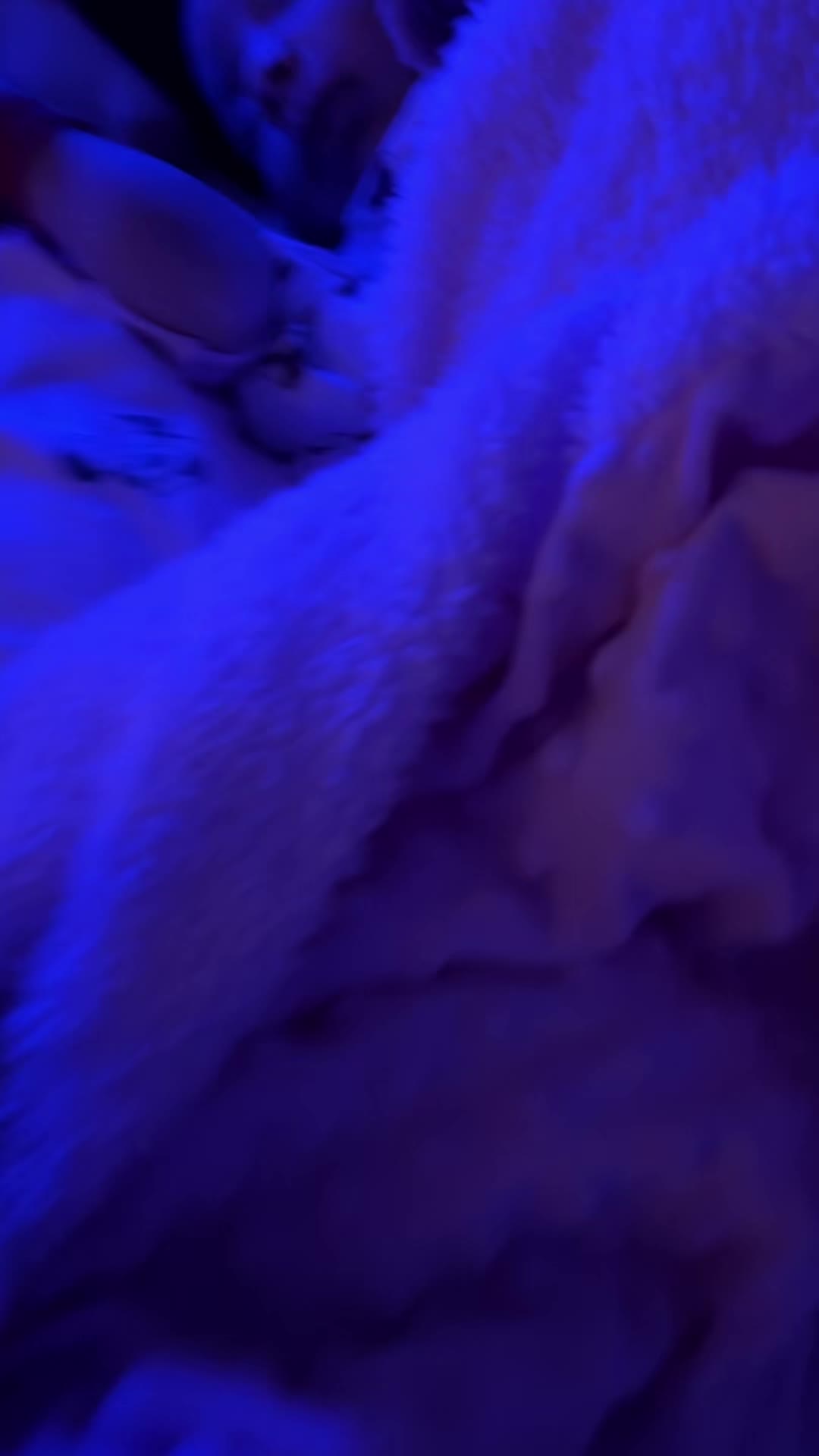 @mihaela.alex17