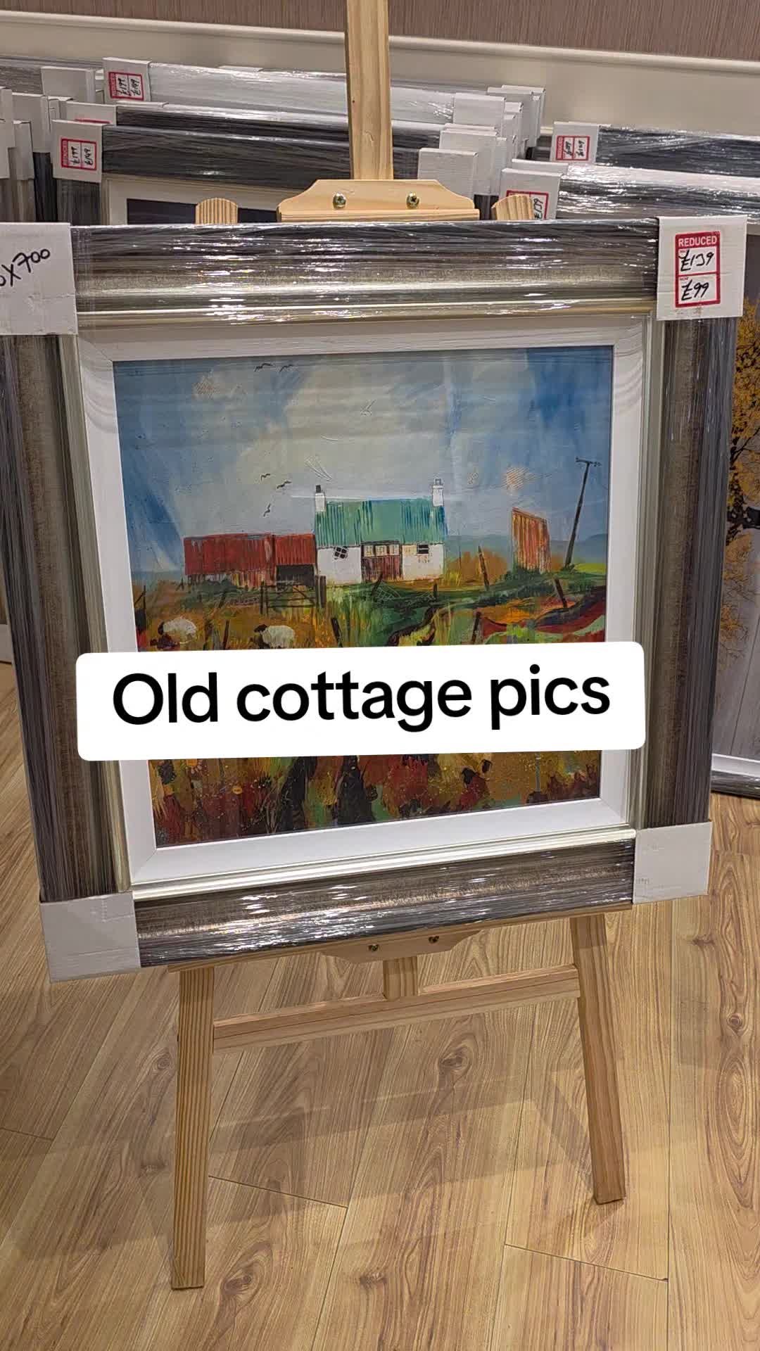 @The Picture Guy ☘️