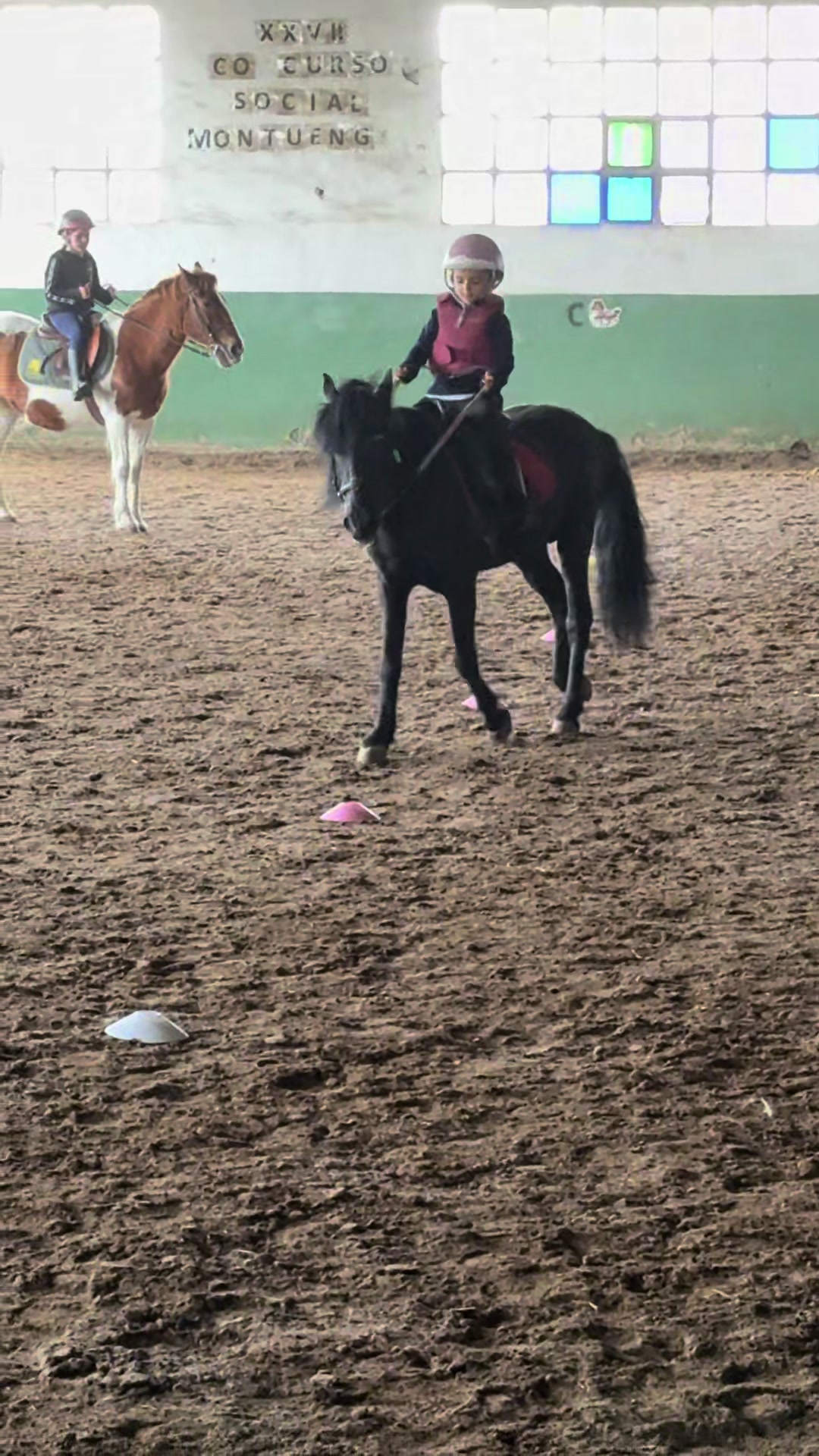 @🌸Sara.Sevilla🐎