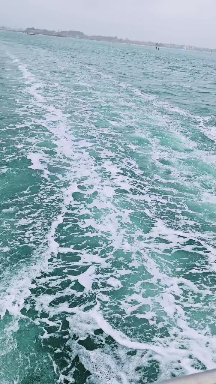 @codauelena835