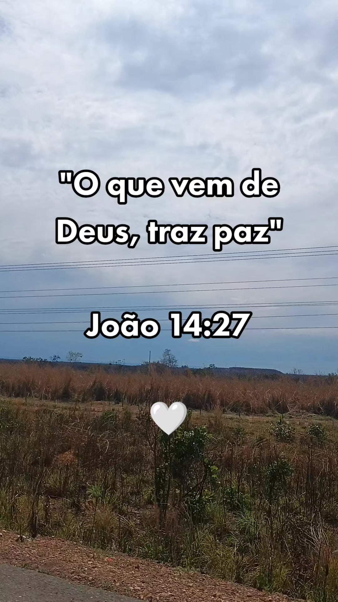 @Anny Padilha | Creator