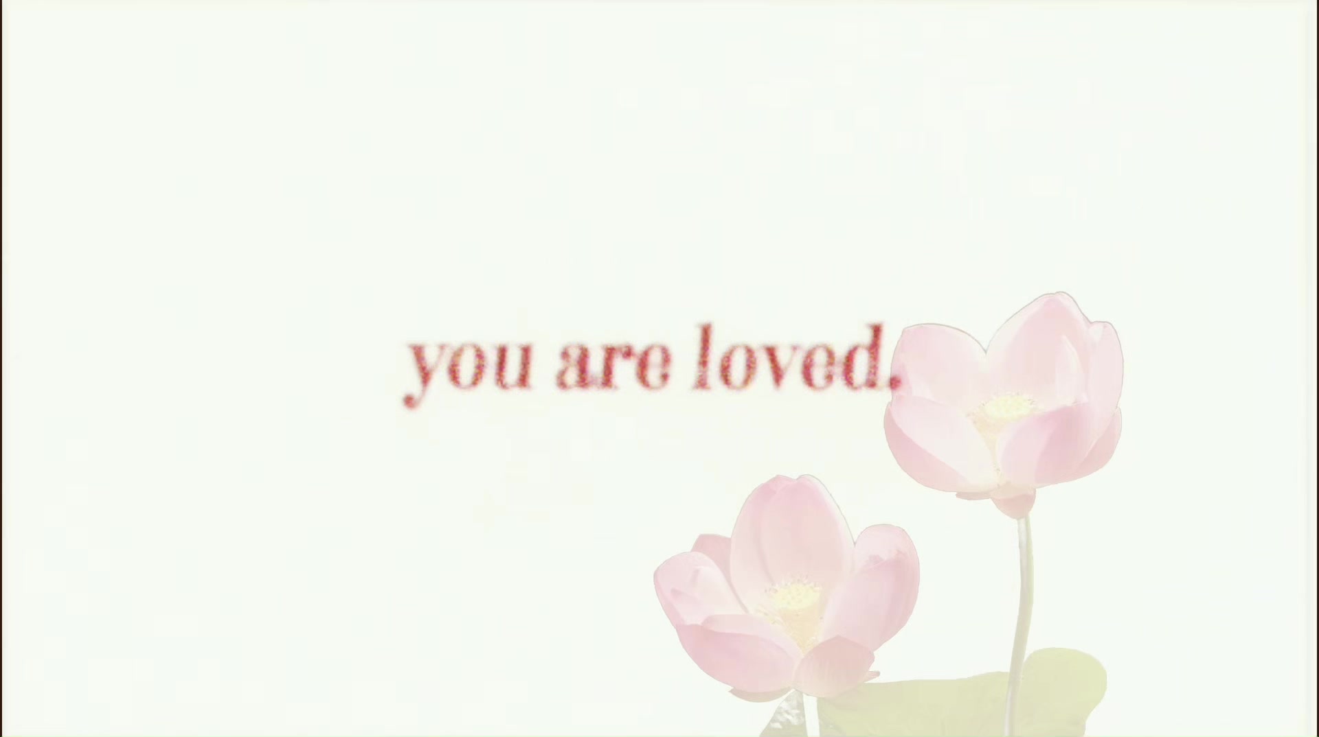 @ellie ⋆˚꩜｡